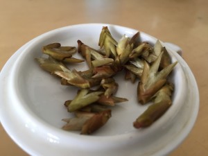 Gushu Cha Ya, a white tea